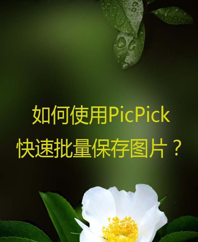 picpick安卓版picpick官方下载-第1张图片-太平洋在线下载