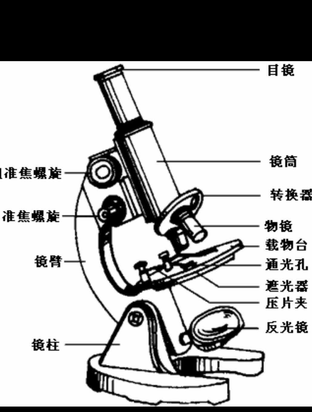 显微镜手机版教程手持式简易显微镜使用方法