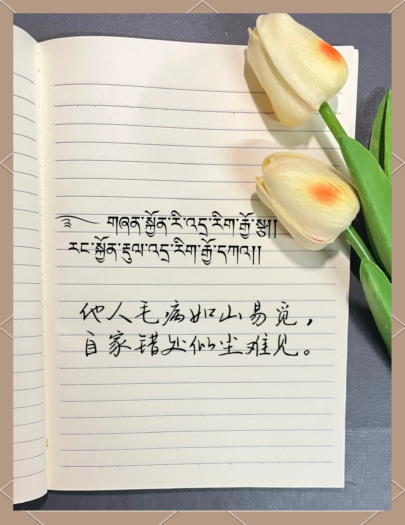 藏文苹果手机版下载藏建服app官方苹果下载最新版-第1张图片-太平洋在线下载